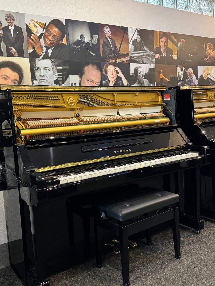 Yamaha X - Imagem 2